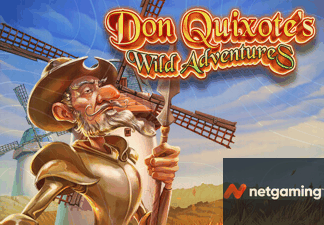 Don Quixote's Wild Adventures